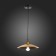Suspension lamp ST LUCE. SL1017.203.01. Romo. 1x60 W, E27, 30x30 cm, black color
