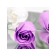 Soap roses, white and purple, set of 6 pcs.