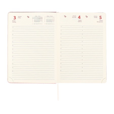 Dated diary 2025 A5 168 sheets, Devente.Barbara, a solid cover to leatherette with foam, praise, perforation, lies, block 70, pink-14