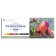 Temporary paints, set of 12 colors x 18 ml, ZHK "Master class" colorism. Bright palette, 16412282