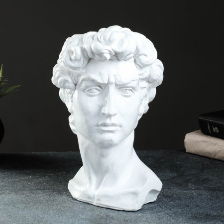 Kashpo - Organizer "David's head" Belaya, 19x27x17cm-2