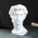 Kashpo - Organizer "David's head" Belaya, 19x27x17cm