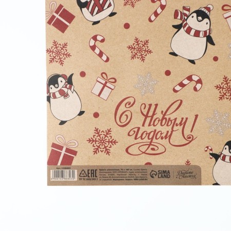 Package Crafts "New Year's Penguins", 50 x 70 cm, New Year-3