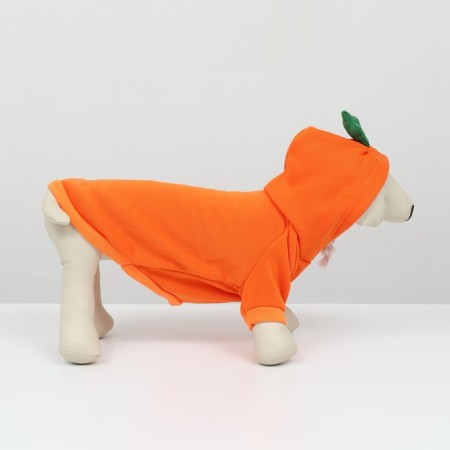 Sweep "Favorite Carrot", Size S (DS 25, OG 38cm)-2