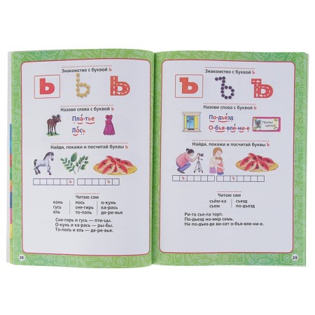 Annual course of classes, 3-4 years, Zhukova M. A-2