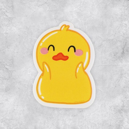 Set of stickers "Ducks", 5 x 5 cm-1