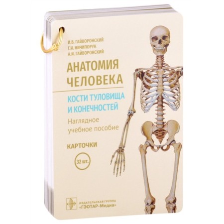 Human anatomy. The bones of the body and limbs. Clearly textbook. 32 cards