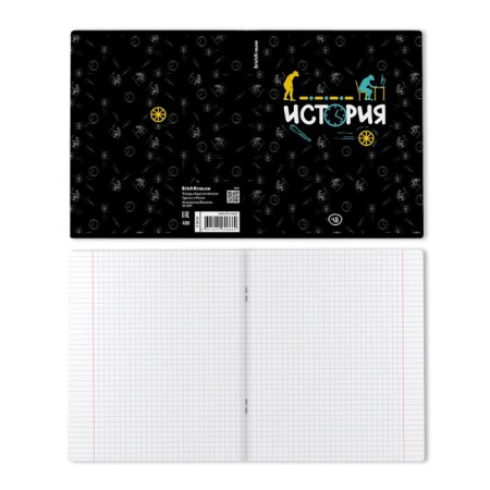Subject notebook, 48 sheets, cell, history, erichkrause "Inscription", cardboard cover of Twin-lak, block offset 100%, information block-1
