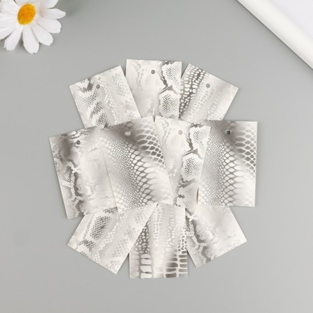 Cardboard "snake texture", silver, set of 10 pcs (5 types) 4x6 cm-1