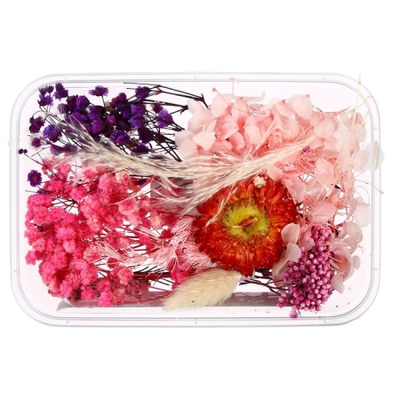 Set for creativity "Set of dry flowers" is large, pink + red + purple-1
