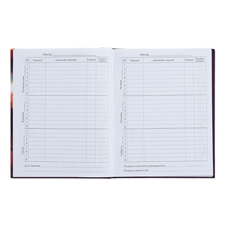 Universal diary for grades 1-11 Stylish Girl, hard cover, matte lamination, selective varnish, 40 sheets-6