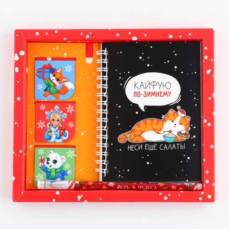 Gift New Year's kit “Kaifui on winter”: a notebook on a spiral A6, 40 sheets, magnetic bookmarks 3 pcs and a pen Plastic-14
