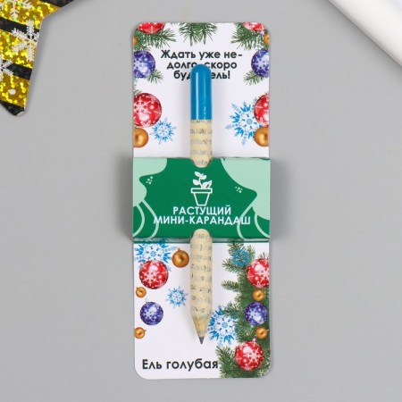 Growing gift pencils Mini "Blue spruce"