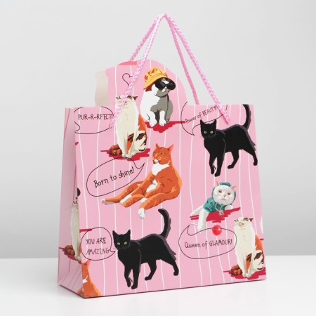 Gift package, packaging, Girl PWR, 25 x 26 x 10 cm-1