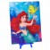 Diamond mosaic, 20x25 cm, princesses