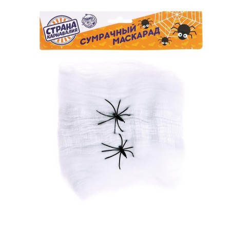 Fun "Web and 2 Spider"-1