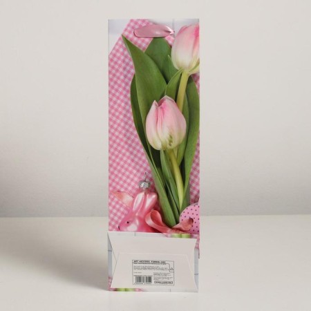 Laminated package for a bottle, 12 x 9 x 36 cm-1