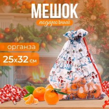Gift bag 