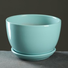 Flower Pot 