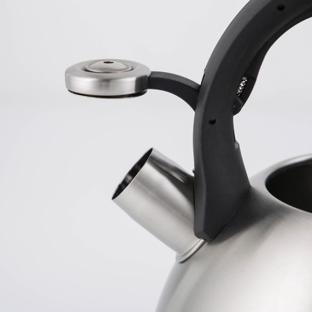 Kettle with a whistle Nadoba IRMA, 3 liters-2