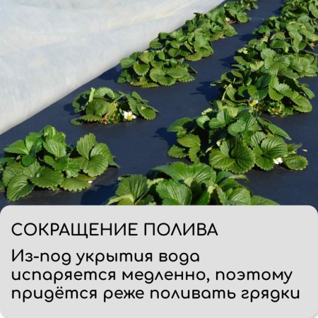 Mulching material, 10 × 0.8 m, density 80 g/m², spanbond with UV stabilizer, black, Greengo, economy 30%-3