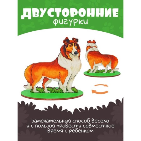 Game set "Dogs service"-3