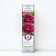 Pion tree peony (vaccinated on grassy) "purple tape" 1 pc, tube, spring 2025