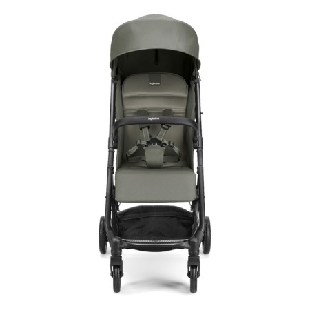 Stroller walking Inglesina Now, color Sprint Green-1