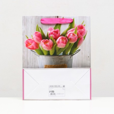 Laminated package, 26 x 32 x 12 cm-1