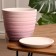 Pot Flower Boule up Pink Crocus No. 3, 2.3 L, D - 17.7 cm