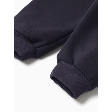 Costume: sweatshirt and pants crumb I Dino, height 80-86, dark gray-7