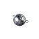 Cargo Cheburashka is analyzed "Yaman", 48 g