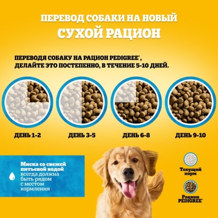 Сухой корм Pedigree для собак всех пород, говядина, 13 кг-6