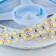 General LED strip, 12V, SMD2835, 5 m, IP20, 19.2W/m, 240 LED/m, 3000K