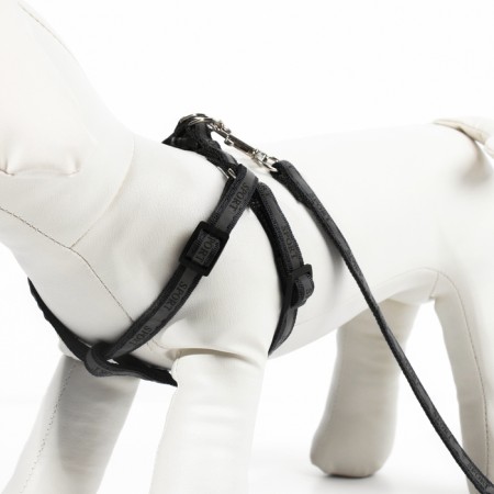 Sports set a reflective, leash 120 x 1 cm, fire 23-35 cm, black-3