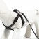 Sports set a reflective, leash 120 x 1 cm, fire 23-35 cm, black