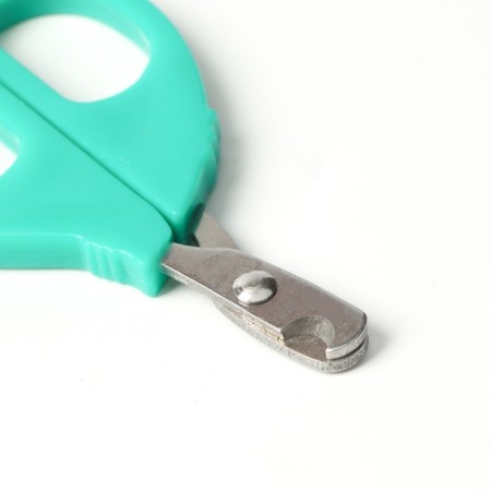 Small scissors are small with an emphasis for the finger, green-1
