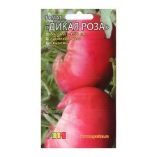 Seed Tomat 