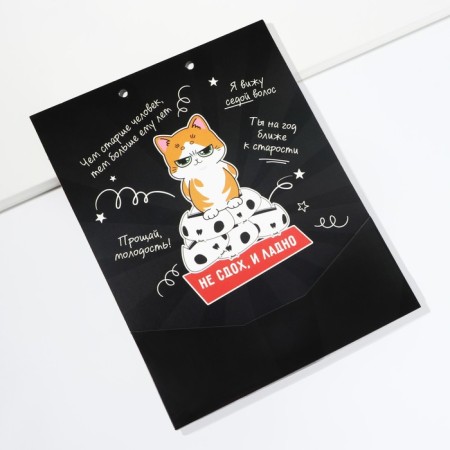 Envenue for money, a birthday card "Congratulatory", with a cat, 6 sheets, 16.3 x 21.3 cm-10