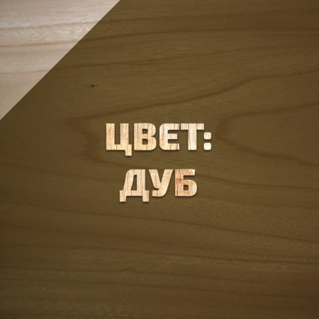 Antiseptic Loosing on natural linseed oil VDPF-1601 oak 1 l-1