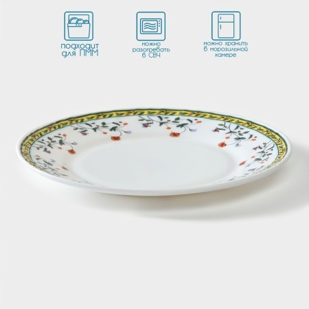 Donested plate "Vintage", D = 22.5 cm, glass ceramic-1