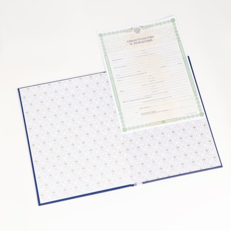 Folder for the birth certificate "Blue" Bumvinyl, soft, A4-2