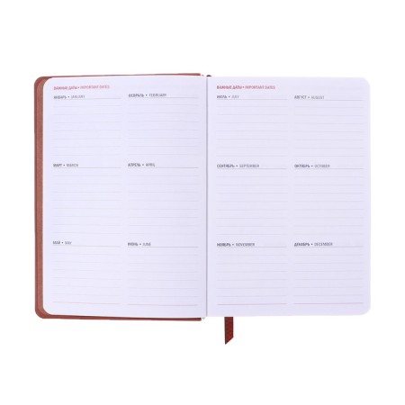 Dated diary of 2025, A6+, 176 sheets "Lyon", solid cover, pancake embossing, with liesa, block 80 g/m2, brown-8