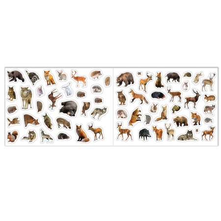 A set of books of 100 stickers "Study animals", 3 pcs. 12 p.-3