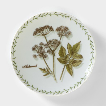 Porcelain plate "Botanika. Dry ", d = 20 cm