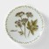 Porcelain plate "Botanika. Dry ", d = 20 cm