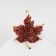 Brooch "Liszt" Maple, red-burgundy color in black gold