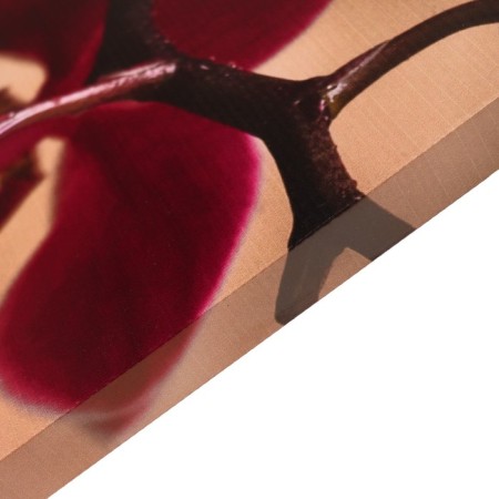Picture on the canvas "Exotic Orchid" 60x100 cm-1