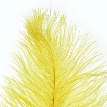 Feather for decor, size: 25-30 cm, yellow color-1