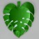 Set of disposable plates "Leaf" 6 pieces